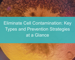 Eliminate Cell Contamination: Key Types and Prevention Strategies at a Glance - cover